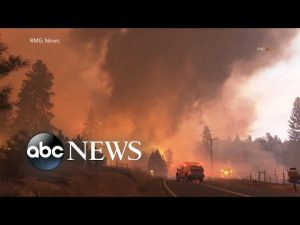 Read more about the article California officials evacuate more than 6,000 people amid Oak Fire