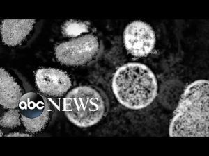 Read more about the article Growing monkeypox outbreak