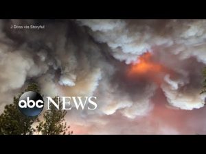 Read more about the article Gov. Gavin Newsom declares state of emergency amid massive fire