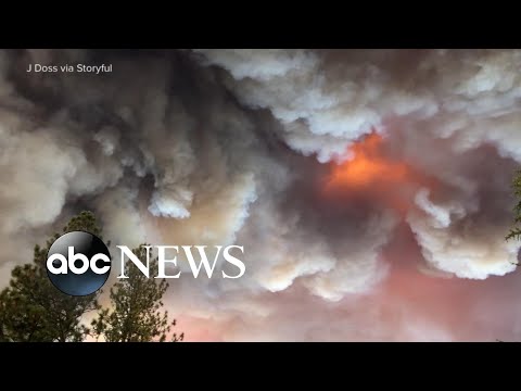 You are currently viewing Gov. Gavin Newsom declares state of emergency amid massive fire