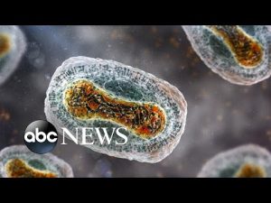Read more about the article World Health Organization declares Monkeypox outbreak a ‘public health emergency’