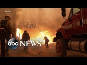 Read more about the article California has recorded its largest, most destructive wildfires in 5 years