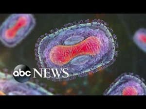 Read more about the article ABC News Live: WHO declares monkeypox ‘public health emergency’