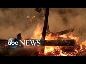 Read more about the article Thousands flee large wildfire | WNT
