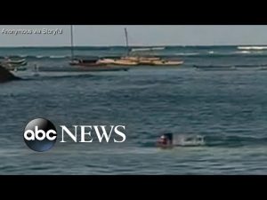 Read more about the article Seal attack off Hawaiian beach