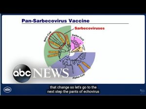 Read more about the article ABC News Live: White House summit on the ‘next generation’ of COVID-19 vaccines
