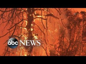 Read more about the article Oak Fire near Yosemite National Park scorches over 18,000 acres l ABCNL