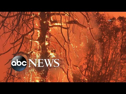 You are currently viewing Oak Fire near Yosemite National Park scorches over 18,000 acres l ABCNL