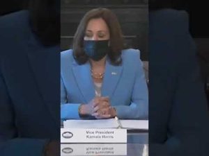 Read more about the article Kamala Goes So Woke You Won’t Even Believe It | #shorts