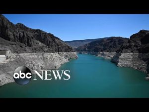 Read more about the article Another body discovered in receding Lake Mead l ABC News