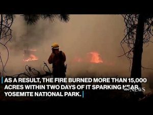 Read more about the article How the Oak Fire exploded so quickly in size