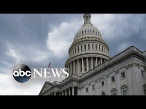 Read more about the article Top gun CEOs testify on Capitol Hill