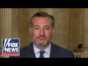 Read more about the article Ted Cruz: The criminal laws don’t apply to Hunter Biden