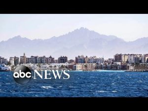 Read more about the article 2 women killed in shark attacks in Egypt’s Red Sea