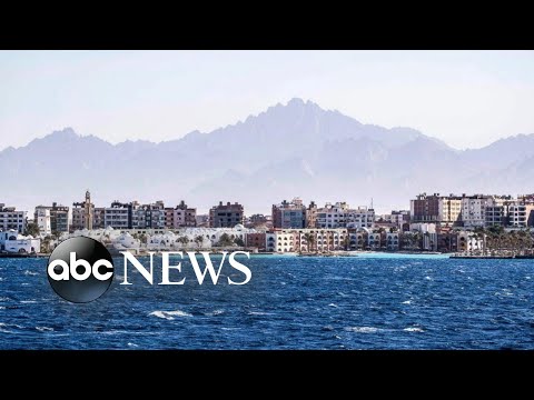 You are currently viewing 2 women killed in shark attacks in Egypt’s Red Sea