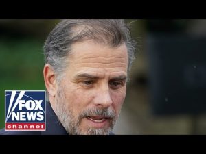 Read more about the article This is the big picture on Hunter Biden: Travis