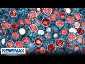 Read more about the article The American people have lost confidence in Dr. Fauci and the CDC | James Comer | ‘John Bachman Now’