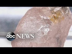 Read more about the article Rare pink diamond is largest such gemstone found in 300 years l ABC News