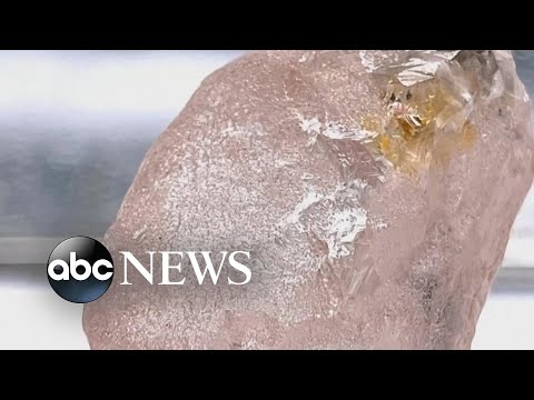You are currently viewing Rare pink diamond is largest such gemstone found in 300 years l ABC News