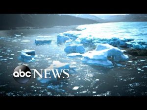 Read more about the article Why Democrats’ climate bill is such a big deal | ABCNL
