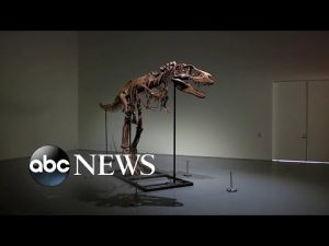 Read more about the article 76-million-year-old dinosaur fossil sells at auction for $6.1 million