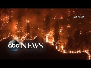Read more about the article Massive wildfire explodes on California-Oregon border