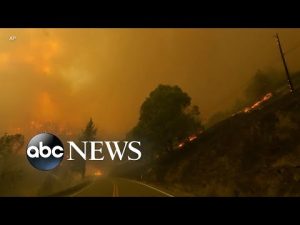 Read more about the article McKinney Fire burns more than 51,000 acres in Northern California