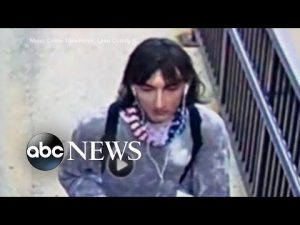 Read more about the article Highland Park shooter planned attack for weeks: Police