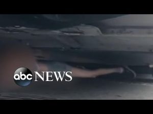 Read more about the article Dramatic rescues caught on camera