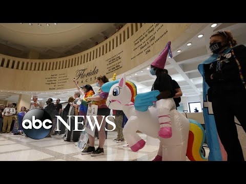 You are currently viewing Florida’s controversial, so-called ‘Don’t Say Gay’ law takes effect l ABCNL