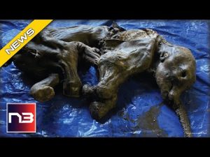 Read more about the article Something INCREDIBLE From The Ice Age Found Intact Near Creek In The Yukon