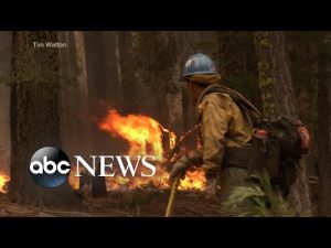 Read more about the article Firefighters battling Yosemite wildfire