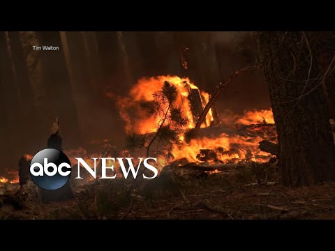 You are currently viewing Wildfire rages near Yosemite National Park l GMA