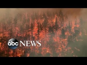Read more about the article Wildfire spreads in northern California