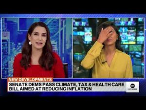 Read more about the article Senate passes major health care, climate and tax package