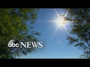 Read more about the article Heat suspected as cause of 10 fatalities following Pacific Northwest heat wave