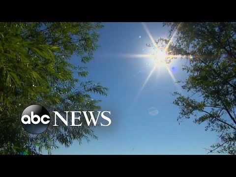 You are currently viewing Heat suspected as cause of 10 fatalities following Pacific Northwest heat wave