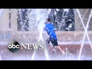 Read more about the article More than 46 million Americans face heat alerts