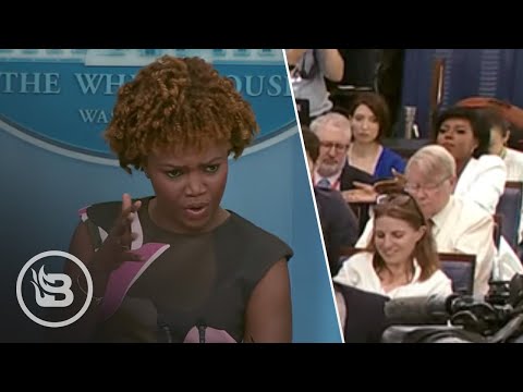 You are currently viewing Chaos Erupts When African Reporter Accuses Press Sec. of Being Racist