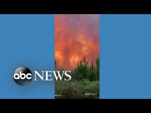 Read more about the article Dozens of wildfires burn in southwestern France