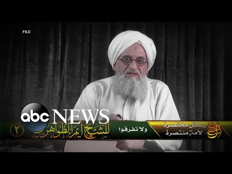 You are currently viewing Martha Raddatz on inside details of strike that killed terrorist al-Zawahiri