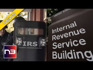 Read more about the article WATCH This Dem’s 5 Word LIE After 87,000 IRS Agents Gear Up For WAR Against The American People