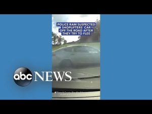 Read more about the article Police ram suspected shoplifters’ car off the road after they try to flee