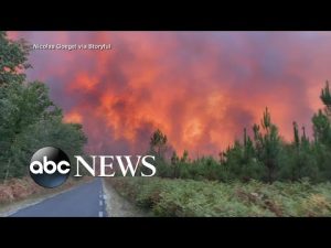 Read more about the article Thousands forced to evacuate as wildfire rages in France amid heat waves l ABCNL
