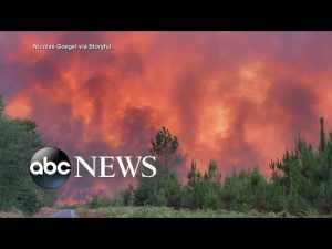 Read more about the article ABC News Live: Massive wildfire in France forces 10,000 people to flee their homes