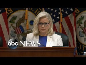 Read more about the article Can Liz Cheney hang onto her House seat? | ABCNL