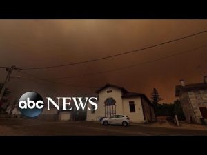 Read more about the article Thousands flee wildfire emergency in famed wine region | WNT