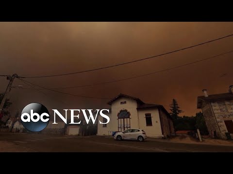 You are currently viewing Thousands flee wildfire emergency in famed wine region | WNT