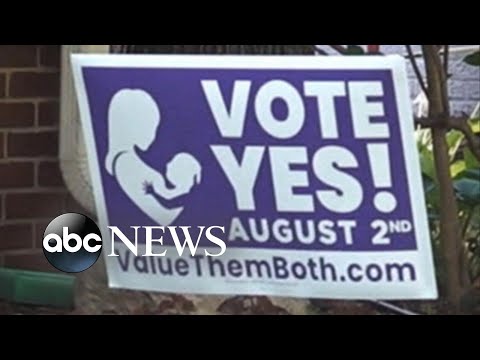 You are currently viewing High-stakes primaries today