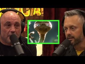 Read more about the article Will We See Aliens In Our Lifetime?